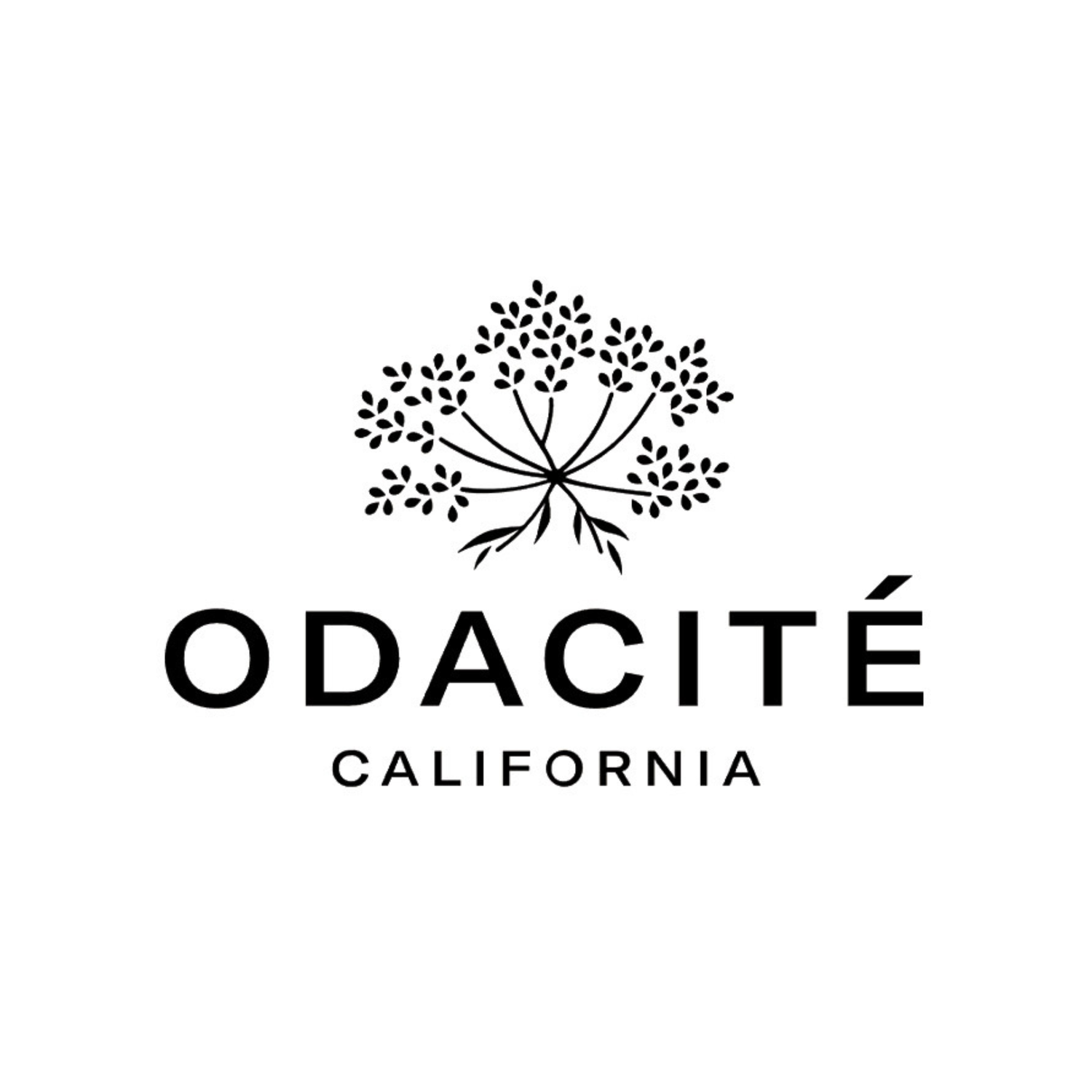 Gamme complète Odacité